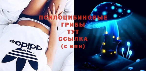 скорость Абаза