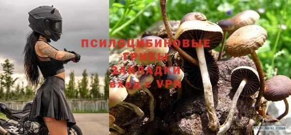 скорость Абаза