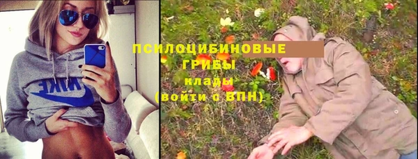 гашик Абинск