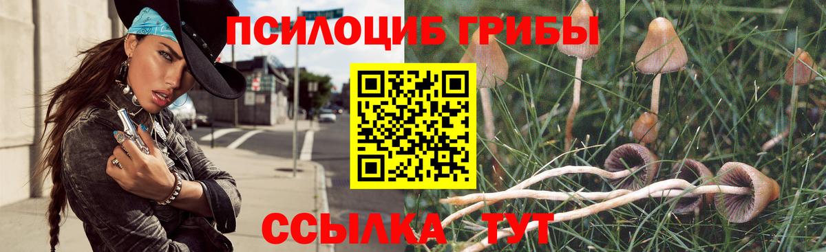 Хабаровск  Псилоцибиновые грибы мухоморы  Псилоцибиновые грибы GOLDEN TEACHER  Вход с VPN 